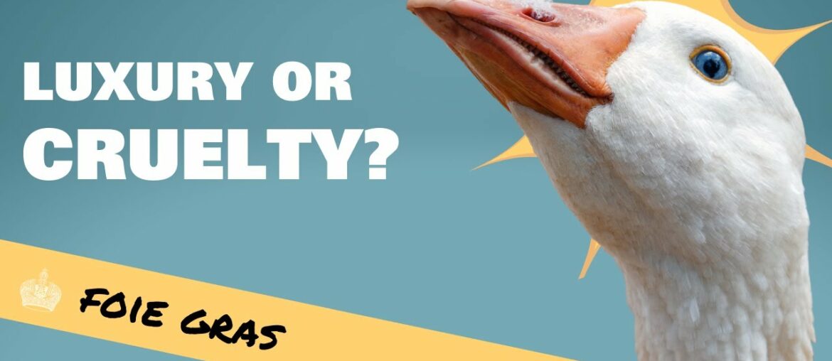 Foie Gras. Luxury food or Cruel Food? Foie Gras. Luxury food or Cruel Food?