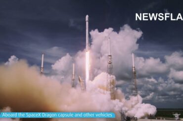 Top French Wine That Matured In Space Tastes Great