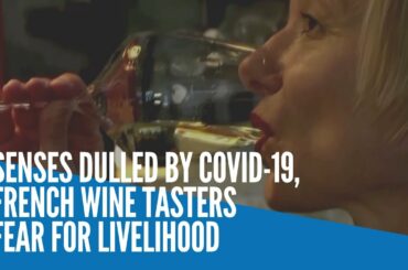 Senses dulled by COVID-19, French wine tasters fear for livelihood