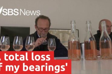 French oenologists retrain after losing taste to COVID-19 | SBS News