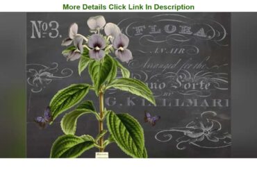 Big Sale Monahan Papers 50 French Country Disposable Black and Lavender Paper Placemats for Table |