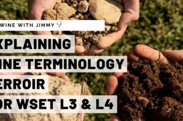 WSET L3 and L4 Explaining Wine Terminology Terroir