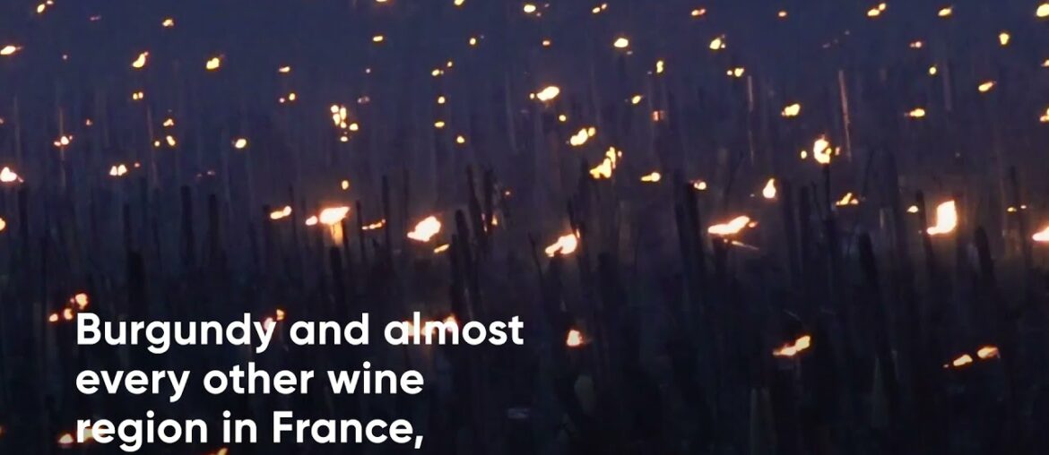 France: Winegrowers use hundreds of heaters to save vines amid sub-zero temperatures