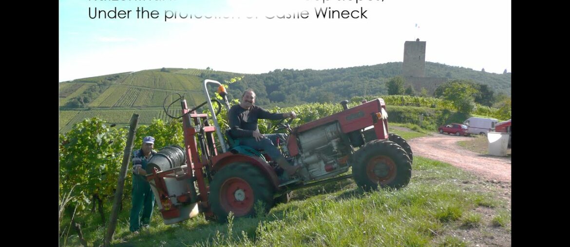 Albert KLEE and Alsace Wines from Alsace, France Albert KLEE and Alsace Wines from Alsace, France