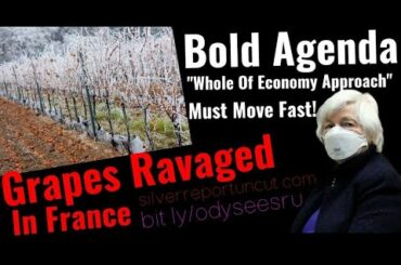 Janet Yellen's Ambitious Plan Requires "A Whole Of Economy Approach" Plan France Loses 13 Of Vintage