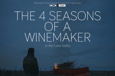 The 4 seasons of a winemaker (in the Loire Valley)