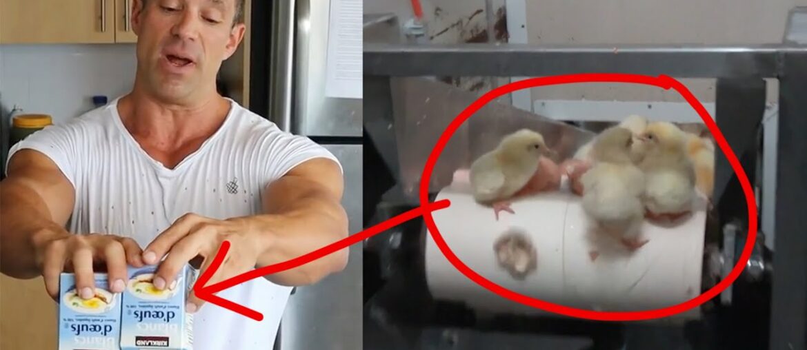 Greg Doucette is an Animal Abuser - Change my Mind Debate Challenge