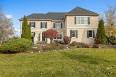 8733 Polo Ridge Ct Burr Ridge, IL 60527 - Home for sale