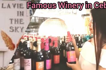 La Vie in the Sky | Famous Winery | Restaurant Reviews | Abcill Alquisola Vlogs