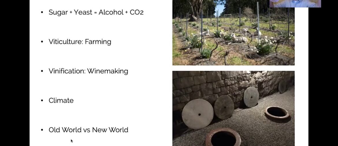 Exploring Natural Wines