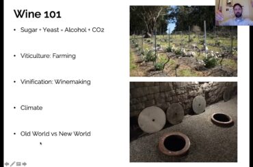 Exploring Natural Wines