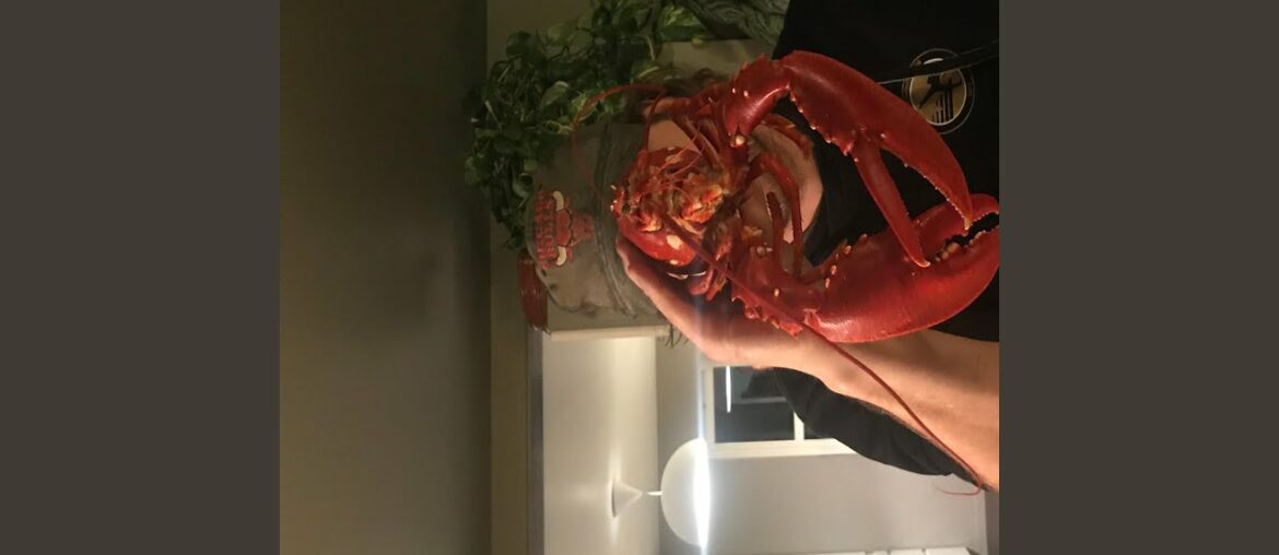 Dans le restaurant (American)