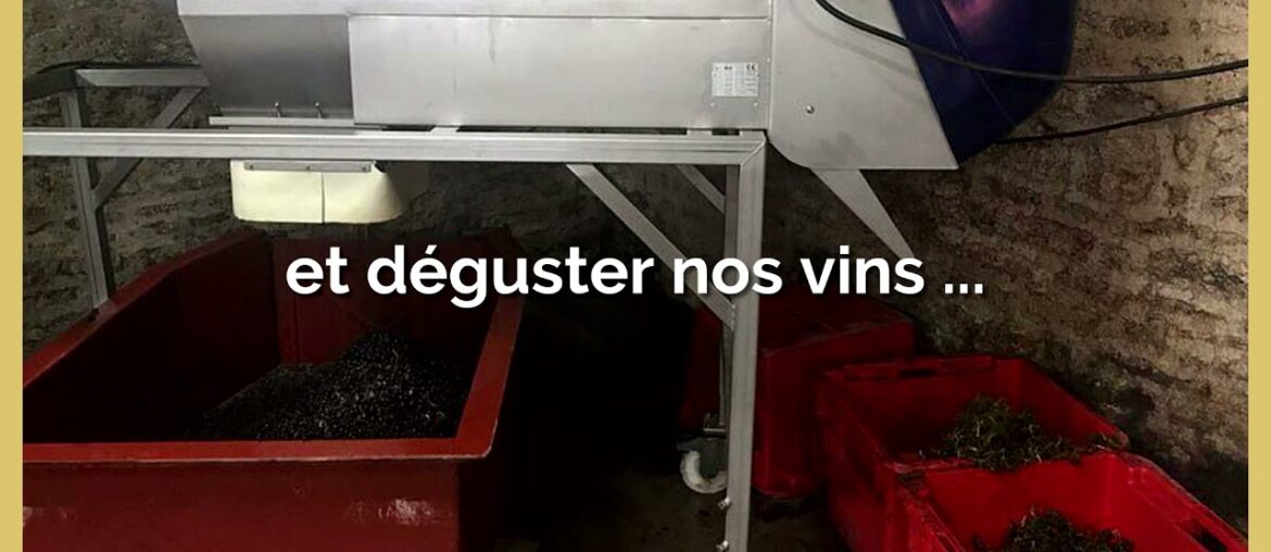 Domaine Debray from Burgundy, France