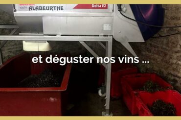 Domaine Debray from Burgundy, France