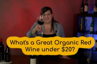 5 to Wine Time Get Somm: A Great Organic Red Blend under $20