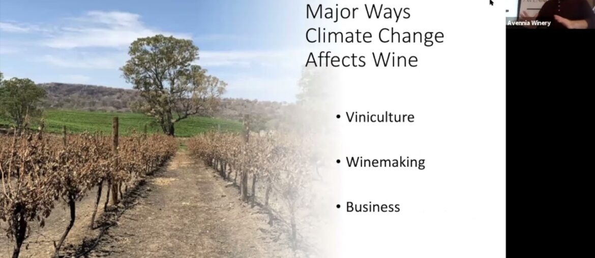 All Things Avennia: Climate Change and Wine