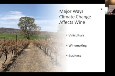 All Things Avennia: Climate Change and Wine