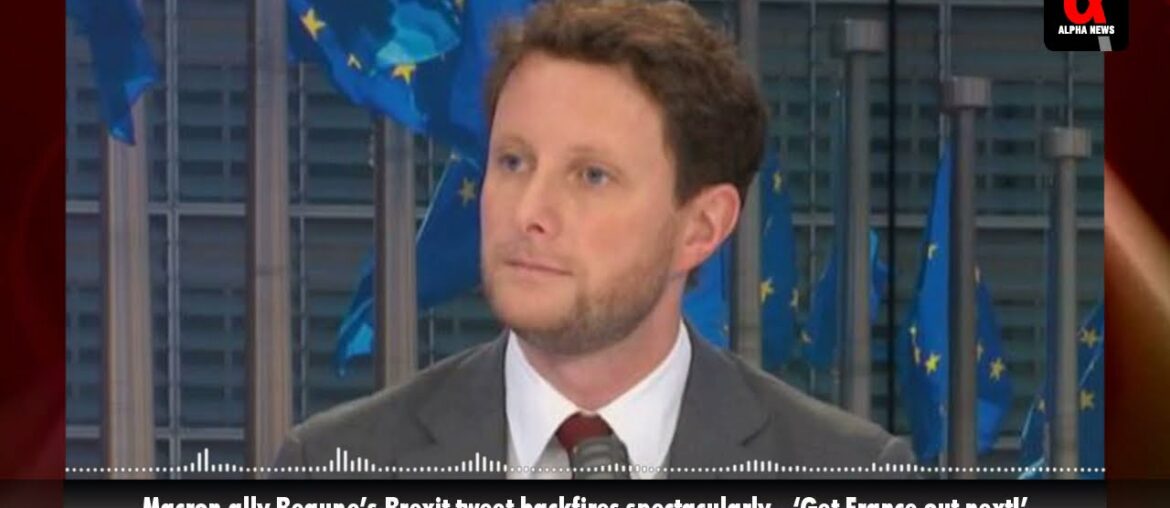 Macron ally Beaune's Brexit tweet backfires spectacularly - 'Get France out next!'