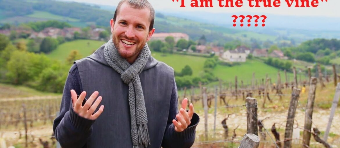 Walking through French wine fields to discover the meaning behind Jesus' words!! Walking through French wine fields to discover the meaning behind Jesus' words!!