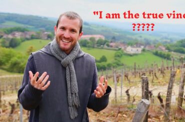 Walking through French wine fields to discover the meaning behind Jesus' words!!