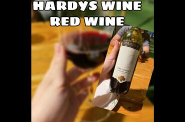 HARDYS WINE || THE RIDDLE CABERNET MERLOT 2020 ||  RED WINE #shorts
