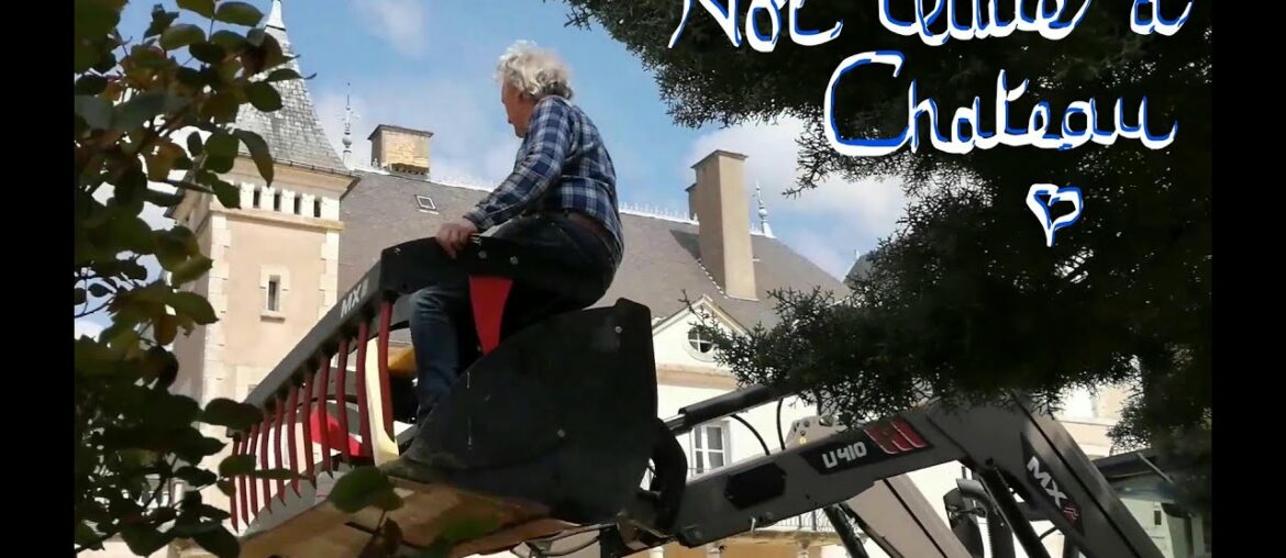 Not Quite a Chateau DIY 70 - A Gator - A Gun - A Good Day's Work - A Musical Vine? -  and a Pinot