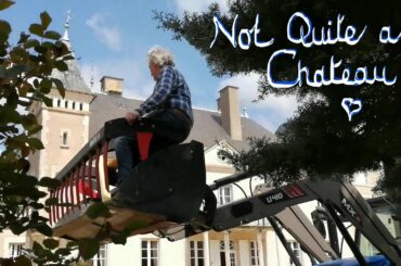 Not Quite a Chateau DIY 70 - A Gator - A Gun - A Good Day's Work - A Musical Vine? -  and a Pinot