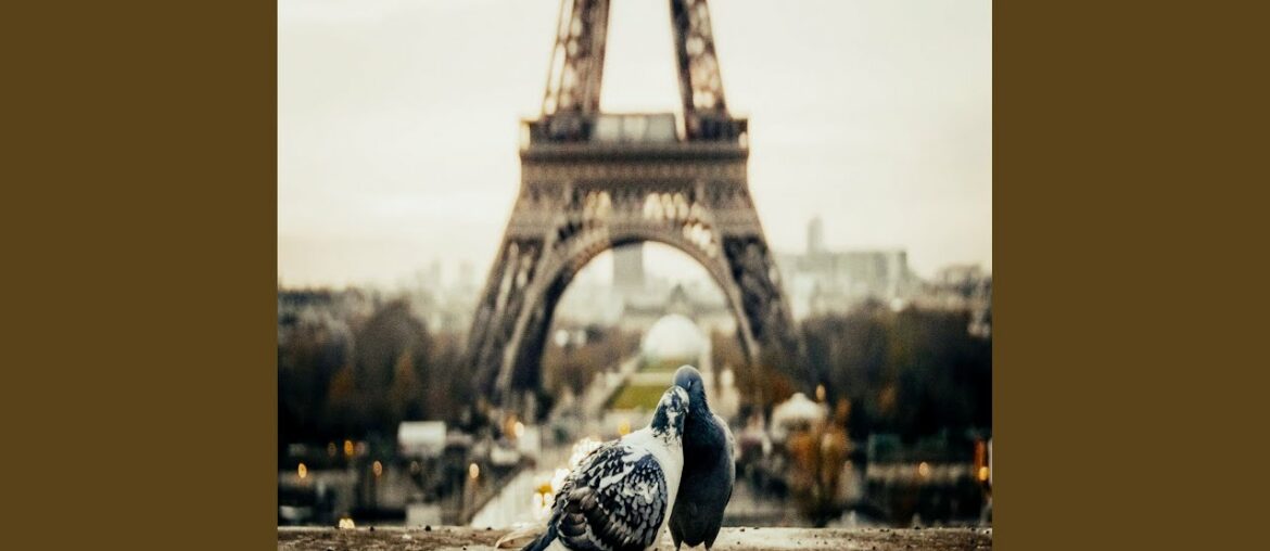 Terrific Ambiance for Paris Restaurants