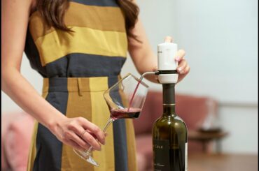 Vinaera Travel MV63 ENG