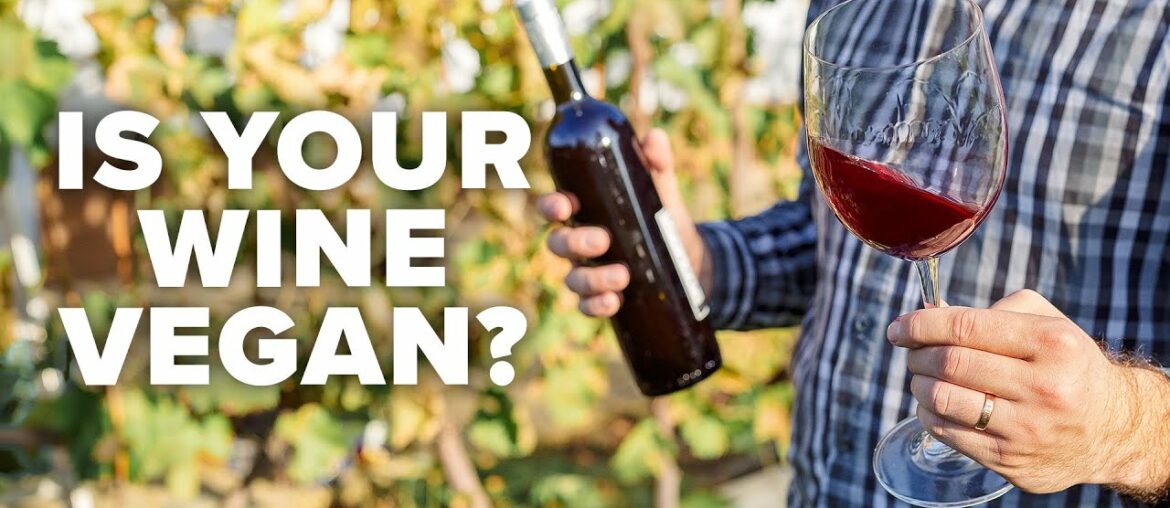 A conversation about vegan wine, climate change & sustainability (with Laurent Miquel) A conversation about vegan wine, climate change & sustainability (with Laurent Miquel)