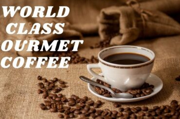 7 Steps for World Class Gourmet Coffee | Food & Beverage: Coffee | CarePin