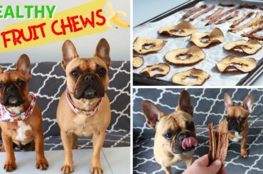 Healthy FRUIT CHEWS For Dogs Recipe With French Bulldog Chefs