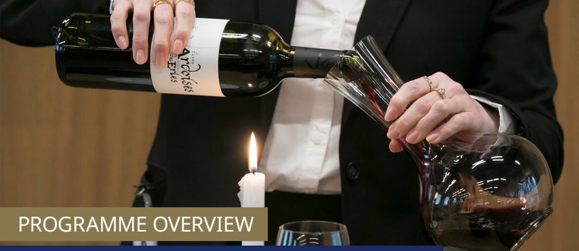 Wine and Management Programme | Le Cordon Bleu Paris