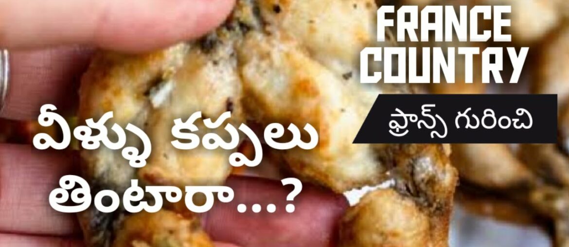 Learn French through Telugu || know about France Country