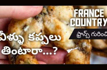Learn French through Telugu || know about France Country