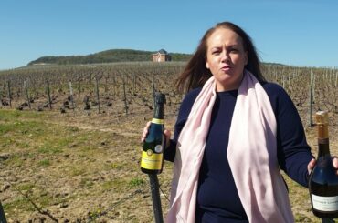 Champagne Gauthier Christophe from Champagne, France says merci to Kobajers for buying its wine