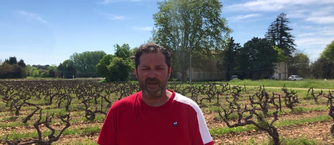 Domaine de la Biscarelle from Rhone, France says merci to Kobajers for buying its wine