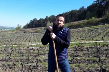 Champagne Hervieux-Dumez from Champagne, France