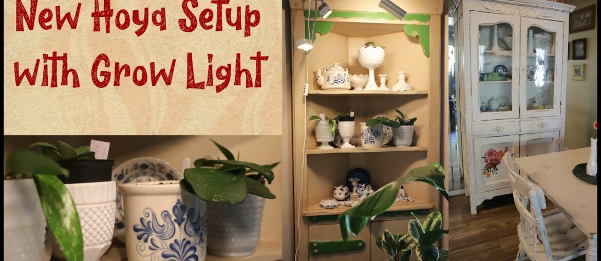 Living Room Setup for Hoyas | New Vintage Shabby Chic Dining Room Living Room Setup for Hoyas | New Vintage Shabby Chic Dining Room