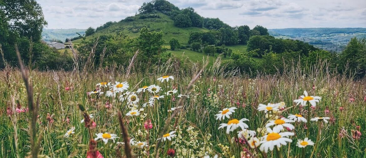 French Avalon / On The Road French Avalon / On The Road