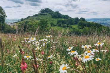 French Avalon / On The Road