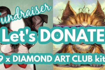 Diamond Paining Fundraiser donations Part 1: Nine DIAMOND ART CLUB kits + drill containers