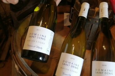 Domaine Saint-Denis form Burgundy, France