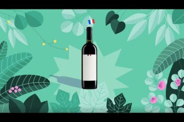 WE TRIED TO FIND THE BEST FRENCH WINE | What The Food : Episode 5