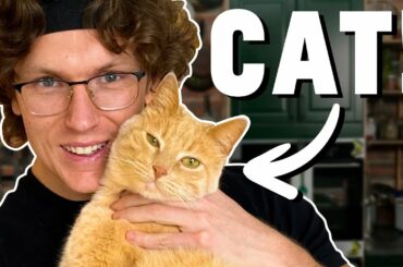 Josh Cooks For His Cat (Featuring Pippin The Cat)