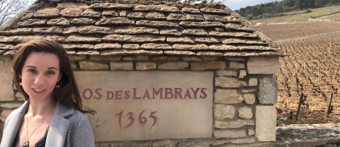 Grand Crus of Morey-Saint-Denis