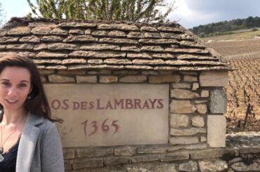 Grand Crus of Morey-Saint-Denis