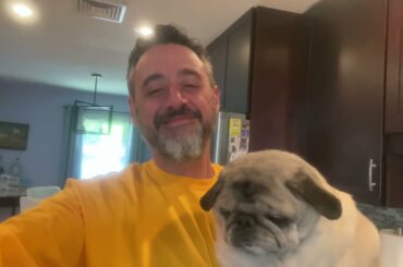 French recipe: summer berry clafoutis