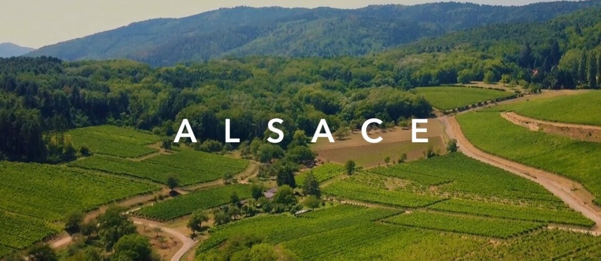 ALSACE, FRANCE // Travel Film