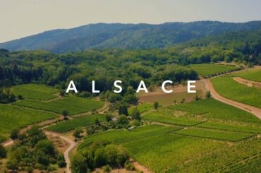 ALSACE, FRANCE // Travel Film